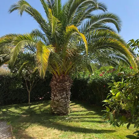 Avec Piscine Saint-raphael Villa Saint-Raphaël